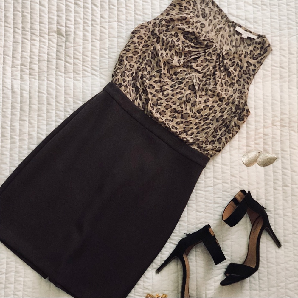 Ann Taylor Loft Business Casual Dress